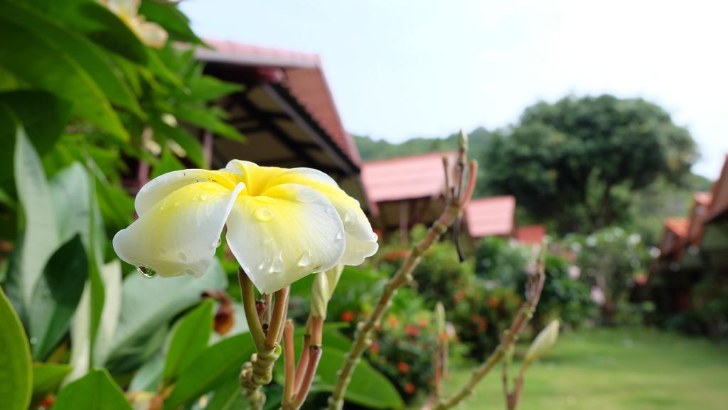 Pooltrap Village Bungalow Ko Pha Ngan Eksteriør bilde
